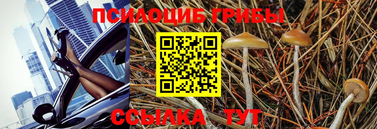 Псилоцибиновые грибы прущие грибы Барабинск