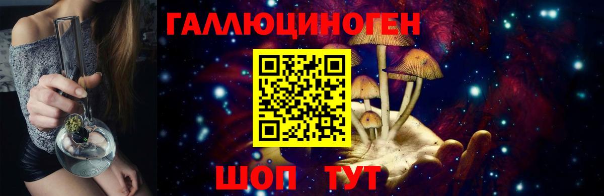 Псилоцибиновые грибы GOLDEN TEACHER  Галлюциногенные грибы Psilocybine cubensis  Барабинск  Вход с VPN 